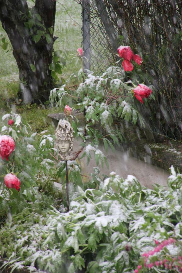 - Wohlfuehlambiente & Gartenparadies * Modautal