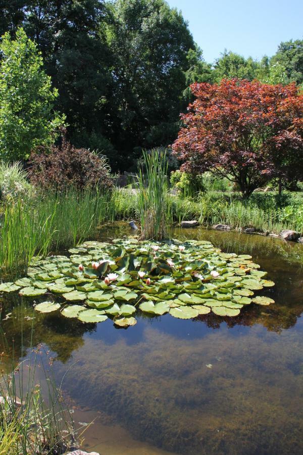- Wohlfuehlambiente & Gartenparadies Appartement Modautal