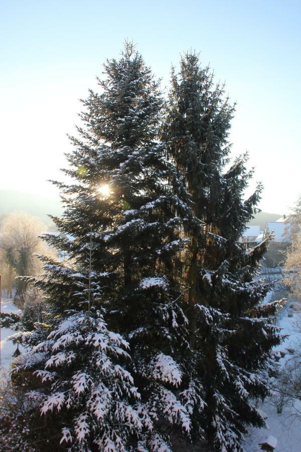- Wohlfuehlambiente & Gartenparadies